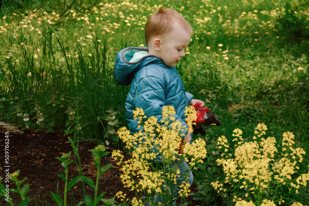 Toddler boy walking through yellow spring flower field. Childhood concept. Toddler boy walking through yellow spring flower field. Childhood concept.