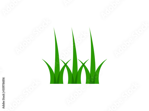 Green grass illustration vector design. vector illustrator.