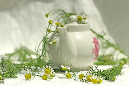 white porcelain teapot on a background of chamomile flowers on a white background