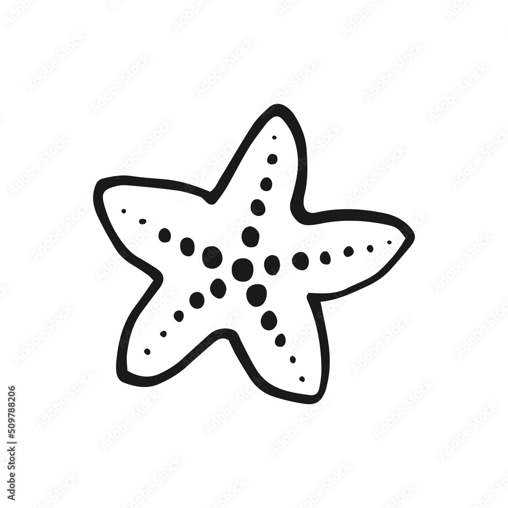 Starfish. Hand drawn vector illustration. Line art style isolated isolated on white background. Starfish. Hand drawn vector illustration. Line art style isolated isolated on white background.