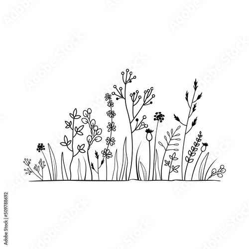 Vector line art. Floral and natural themes. Black sketch of grass. Monochrome floral pattern. Theme of nature and botany. Vector illustration design