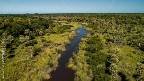 Naturaleza Chaqueña - Reserva Monte Constanza