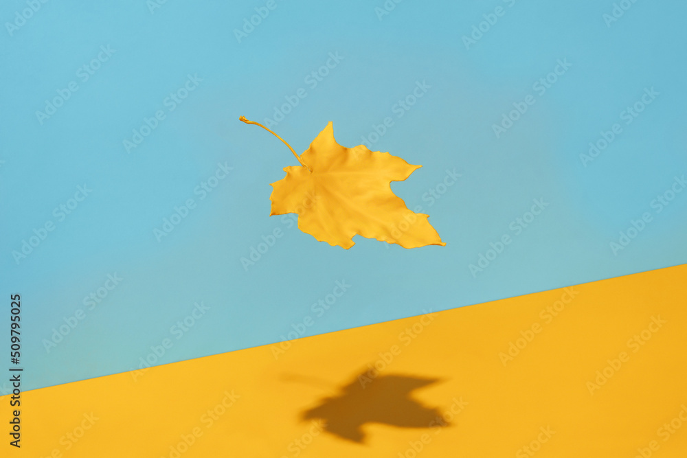 Obraz premium Minimal composition with flying yellow maple leaf on blue and orange background. Creative arrives autumn concept. Fall of the leaves, change of seasons concept.