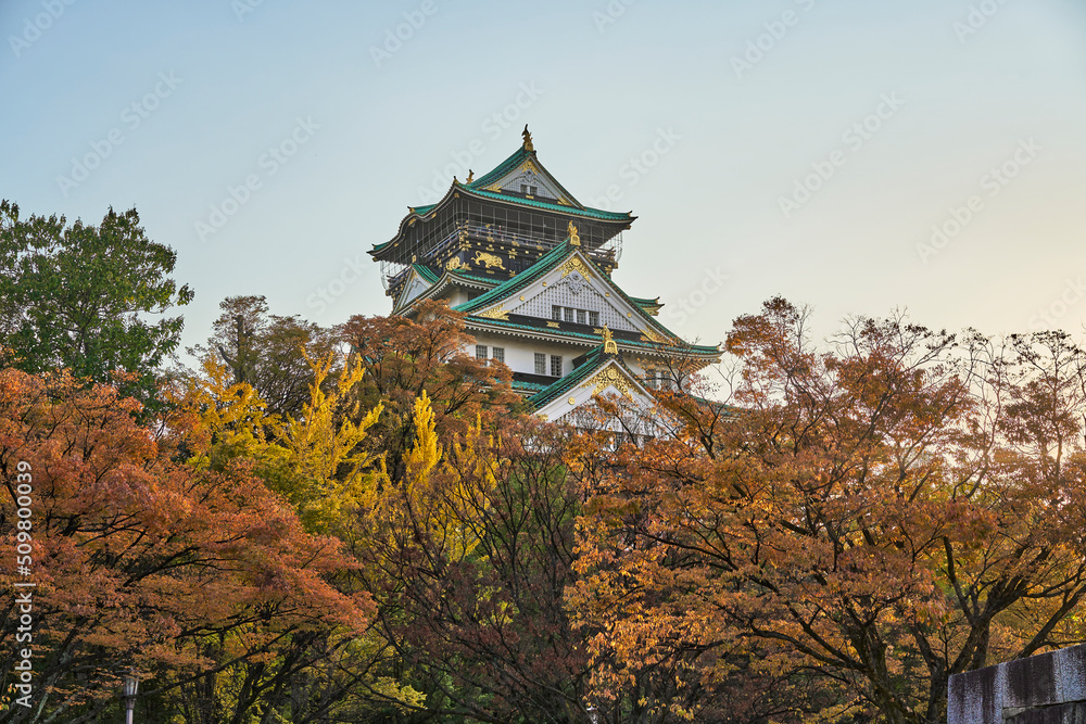 Osaka Castle Park at Autumn Sunset Osaka Castle Park at Autumn Sunset