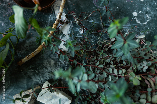 Surface