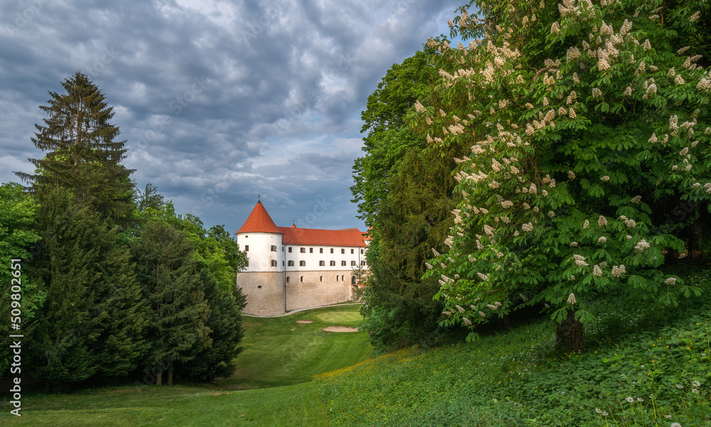 Castle Mokrice on a spring evening with dramatic clouds and forest. A fortress in the woods.
Castle Mokrice on a spring evening with dramatic clouds and forest. A fortress in the woods.