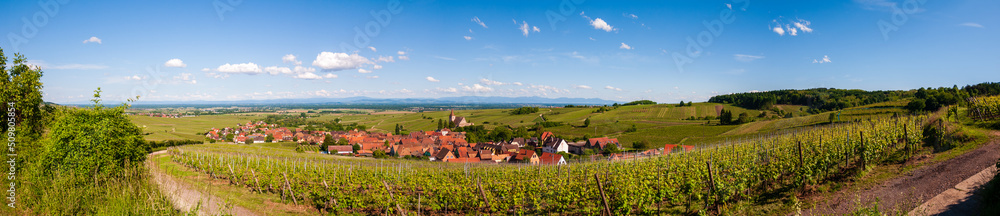 Le village d'Hunawihr, l'un des plus beaux villages de France, lové au creux du vignoble alsacien, Alsace, Grand Est, France.
