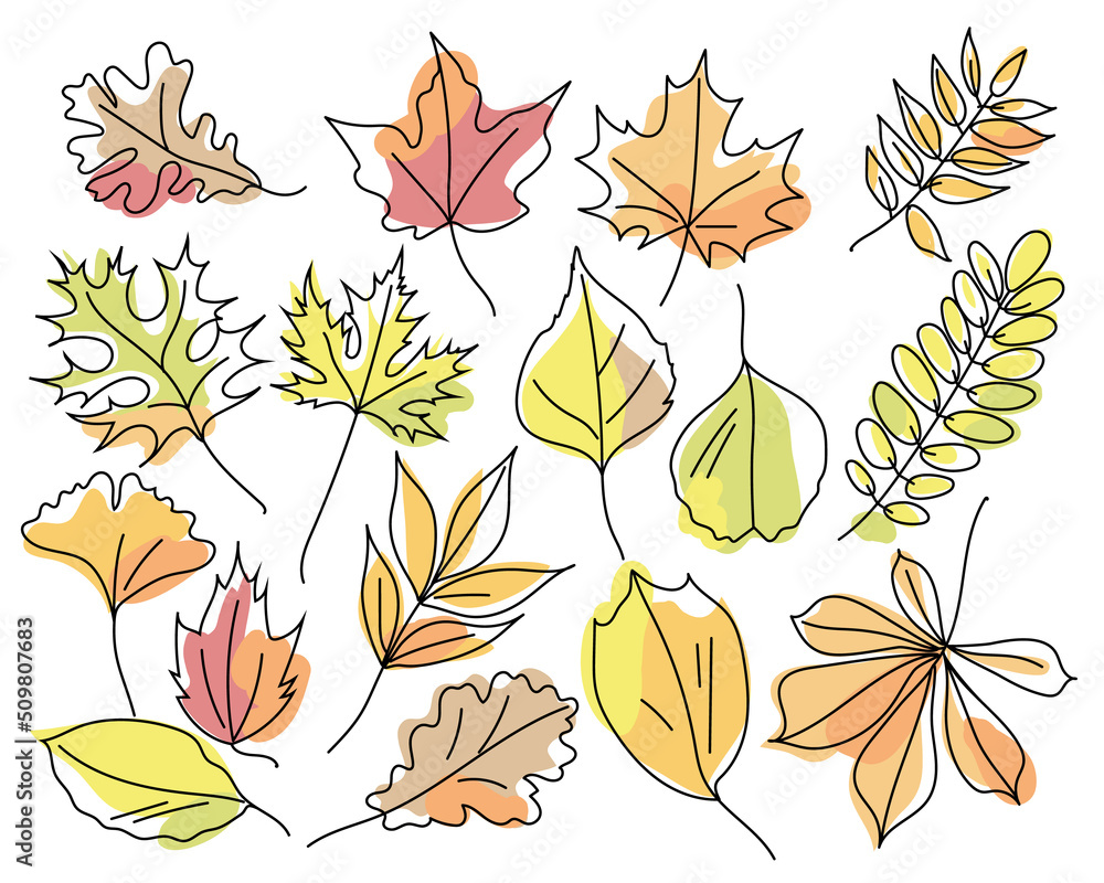 Obraz premium Set of autumn leaves of different trees isolated on white background. Leaves in linear art with the addition of colored spots. Leaves of maple, oak, chestnut, acacia, ash, ginkgo. Vector 