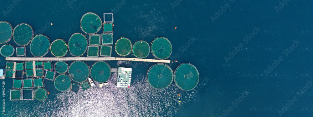 Aerial drone ultra wide top down panoramic photo with copy space of sea bass and sea bream fishery or fish farming unit in Mediterranean calm deep blue sea