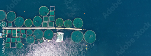 Obraz na płótnie Aerial drone ultra wide top down panoramic photo with copy space of sea bass and sea bream fishery or fish farming unit in Mediterranean calm deep blue sea w salonie
