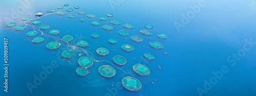 Aerial drone ultra wide photo with copy space of fish farming unit of sea bass and sea bream with round net cages in Anemokambi bay area near Galaxidi, Greece