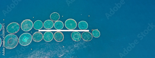 Aerial drone ultra wide panoramic top down photo with copy space of sea bass and sea bream fishery or fish farming unit in Mediterranean calm deep blue sea