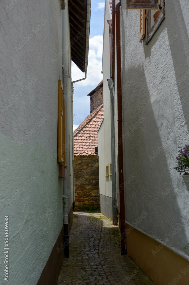 Freinsheim in der Pfalz