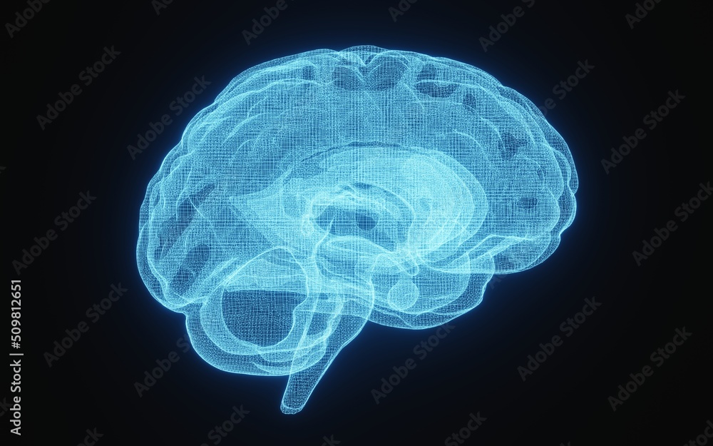 Glowing X-ray image of human brain in blue wireframe on isolated black background. Science and medical concept. Side of brain. 3D illustration rendering Glowing X-ray image of human brain in blue wireframe on isolated black background. Science and medical concept. Side of brain. 3D illustration rendering