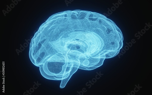 Glowing X-ray image of human brain in blue wireframe on isolated black background. Science and medical concept. Side of brain. 3D illustration rendering