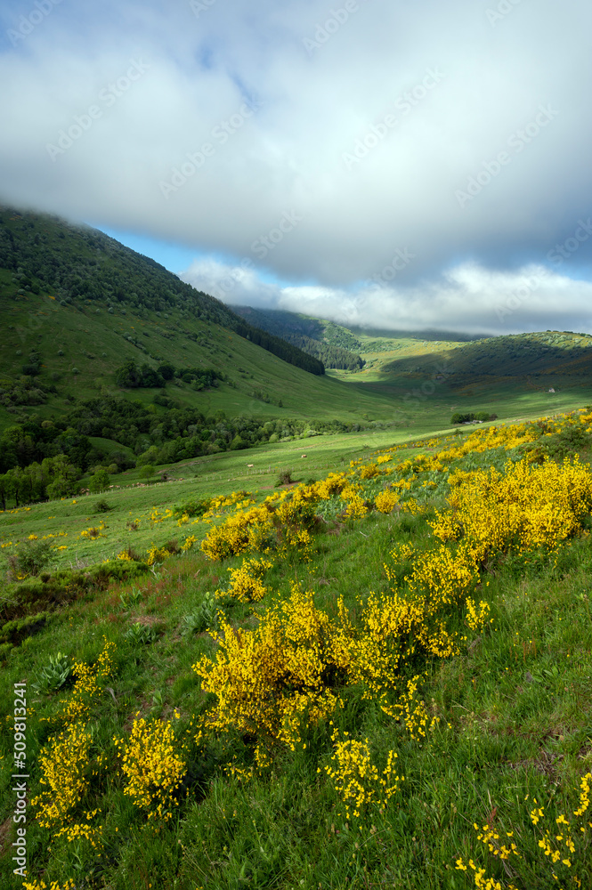 Paysage des Monts du Cantal au printemps dans le Parc Régional Naturel des Volcans d'Auvergne en France autour du Puy Mary