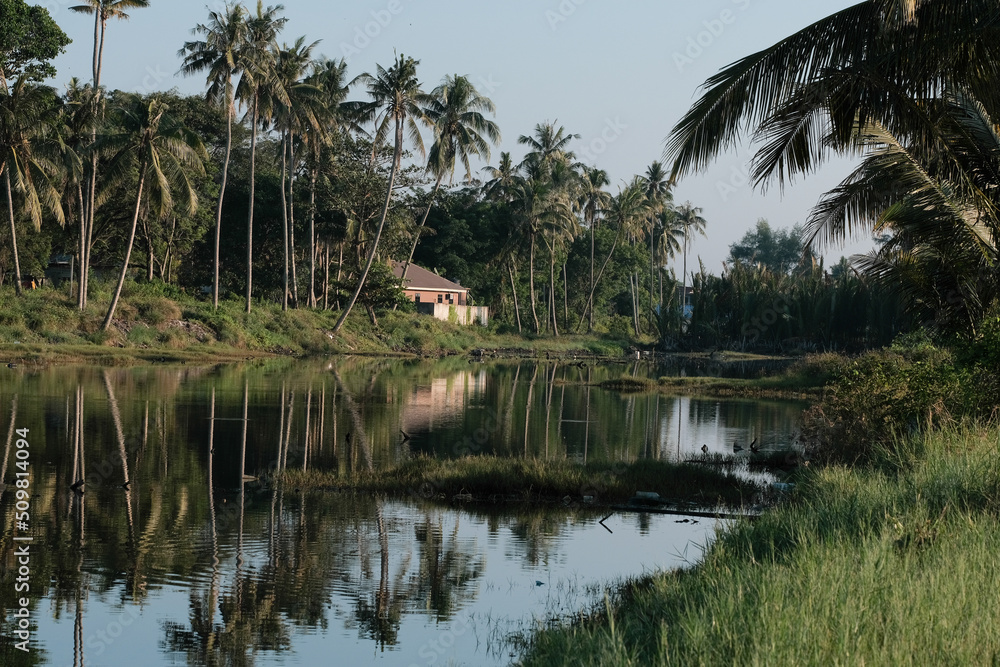 Coconut tree reflect shadow on surface of river beautiful sky in Beserah, Malaysia . Landscape silhouette coconut trees. Asia nature landscape Coconut tree reflect shadow on surface of river beautiful sky in Beserah, Malaysia . Landscape silhouette coconut trees. Asia nature landscape