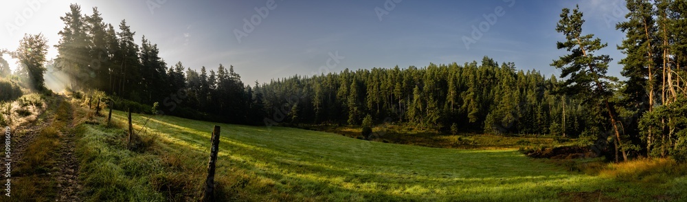 Lumière matinale sur une prairie bocagère devant une forêt de pins, Allègre, Auvergne-Rhône-Alpes, France Lumière matinale sur une prairie bocagère devant une forêt de pins, Allègre, Auvergne-Rhône-Alpes, France