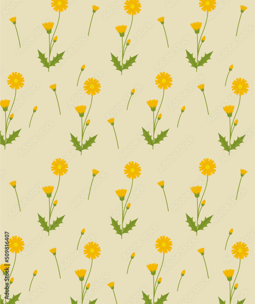 seamless pattern dandelion
