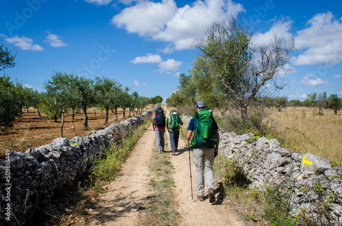 Pellegrini in cammino lungo la Via Peuceta del Cammino Materano fra ulivi e muretti a secco