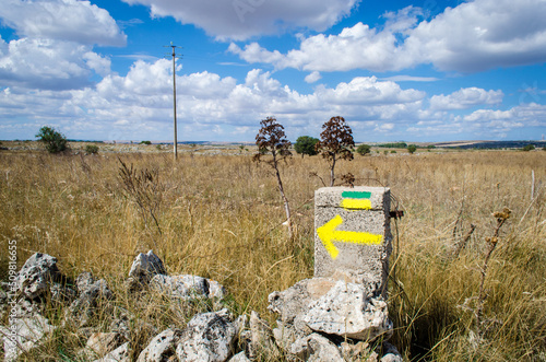 Le freccie gialle che indicano la direzione della Vua Peuceta del Cammino Materano in Puglia photo