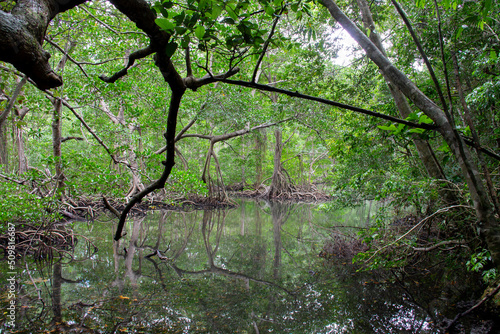 Los Haitises Park, Dominican Republic