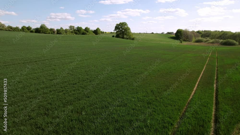 green field and blue sky, 4K green field and blue sky, 4K