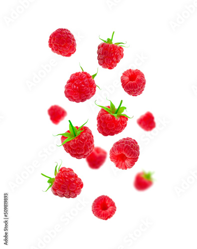Collection of falling raspberries isolated on white background. Sweet ripe fresh delicious raspberry, summer berry, organic food, vitamins. Berry raspberry set for your design
