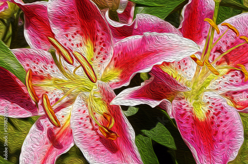 Fototapeta Stargazer lilies in close up with oil painting effect