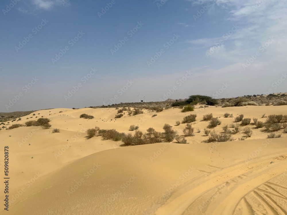 Beautiful desert. Thar Desert of Rajasthan, India