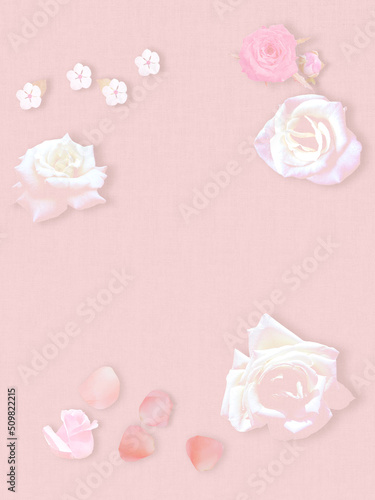 pink roses and paper