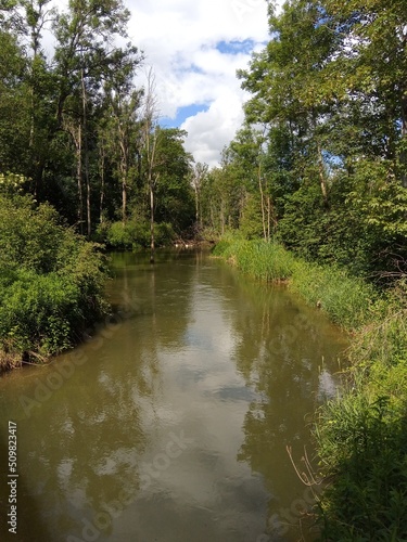 river in the woods