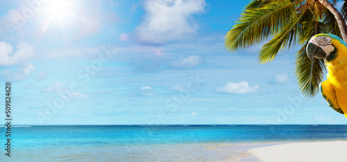 Art beautiful summer tropical holiday background; suny sandy beach, palm tree and blue sea sky