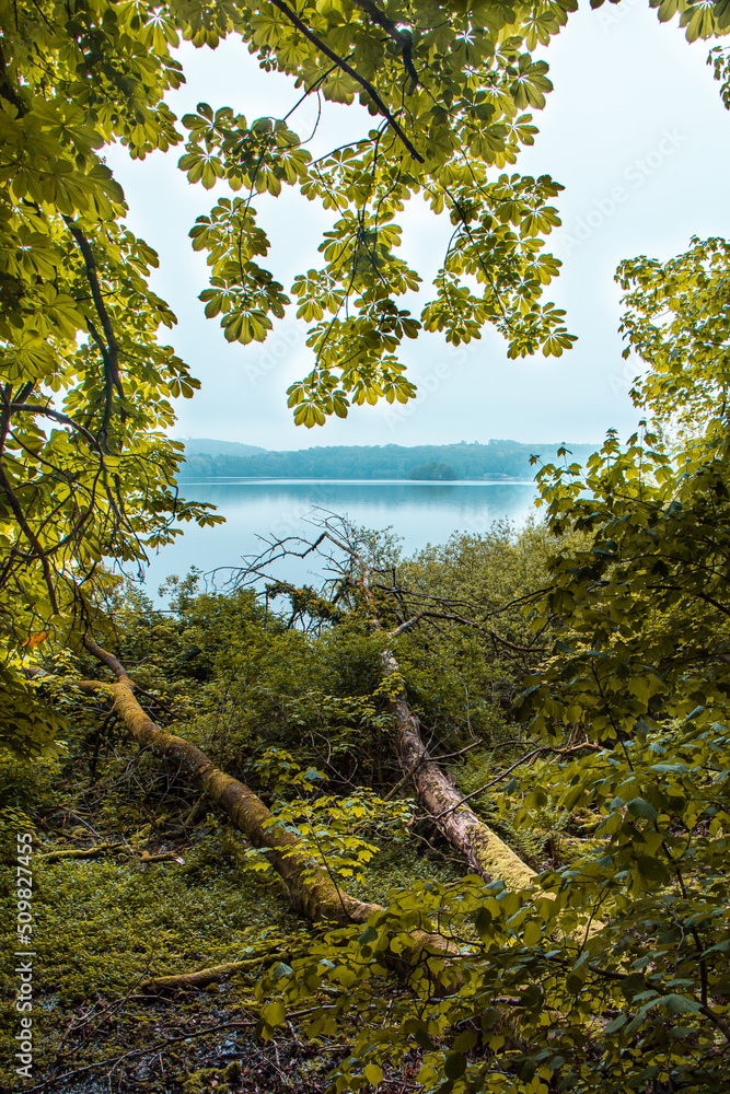 Blick durch ein Baumherz auf den Diecksee Blick durch ein Baumherz auf den Diecksee
