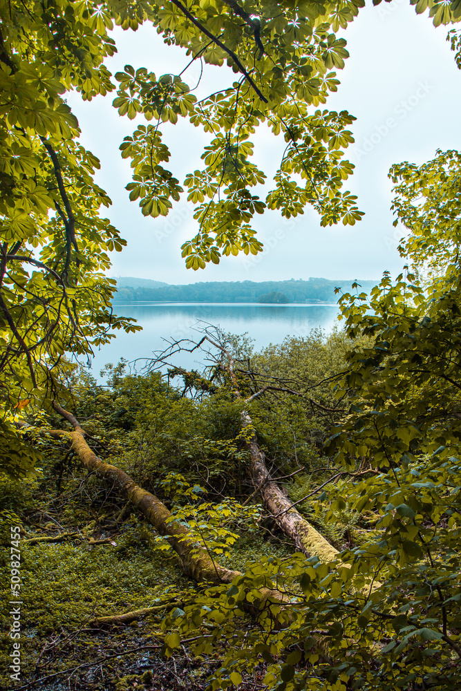 Blick durch ein Baumherz auf den Diecksee