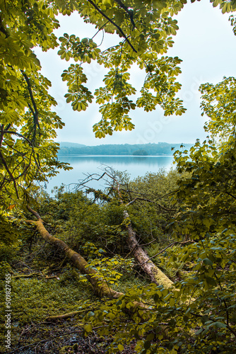 Blick durch ein Baumherz auf den Diecksee