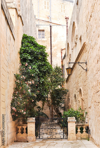 Beautiful picture of a small,cozy garden hidden between the ancient stone houses in Mdina,Malta,Europa.