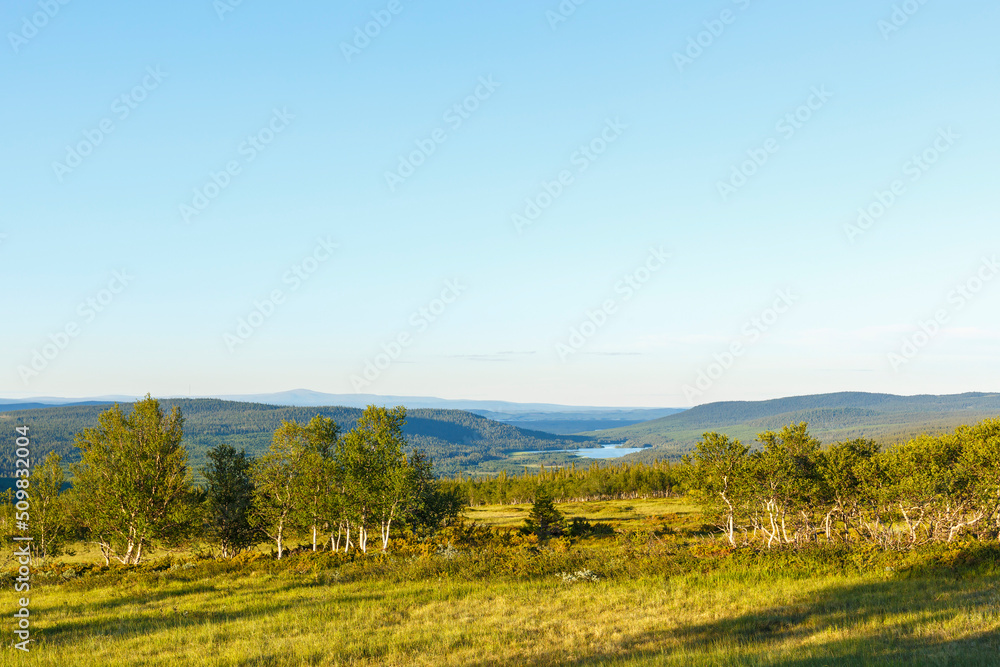 Landscape view of forest landscape with a lake