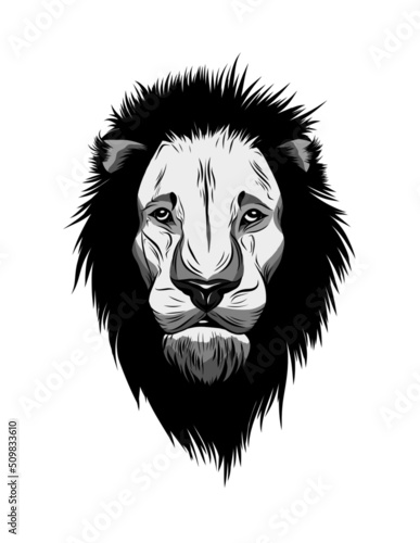 Fototapeta Naklejka Na Ścianę i Meble -  logo emblem drawing sketch icon clip art advertising nature animal sticker lion