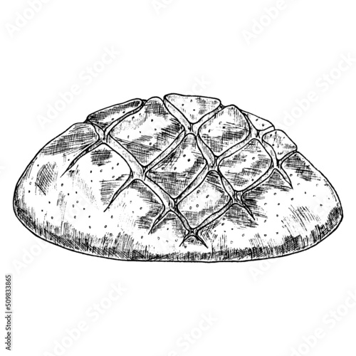 A loaf of bread.Rye round rustic bread or wholegrain bread.Logatype, icon.A sketch of a realistic line.Vintage illustration.