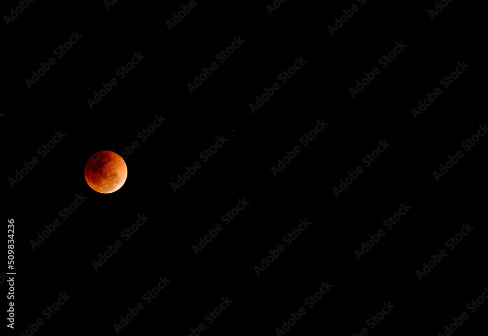 sun in the night sun in the night