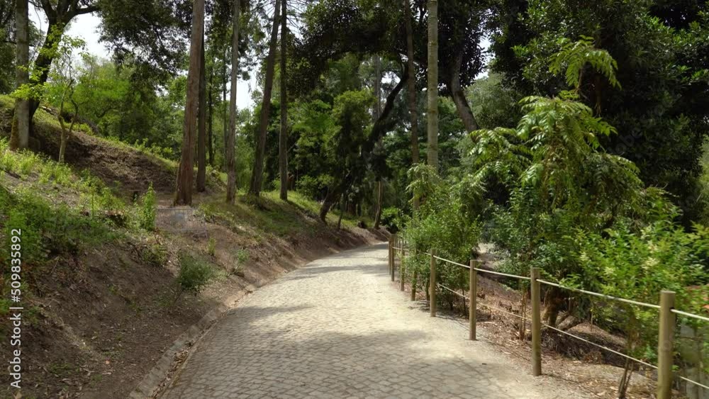 Stone Path Leading Down to Botanical Garden of the University of Coimbra Stone Path Leading Down to Botanical Garden of the University of Coimbra