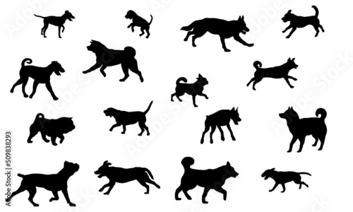 Group of dogs various breed. Black dog silhouette. Running  standing  walking  jumping dogs. Isolated on a white background. Pet animals.