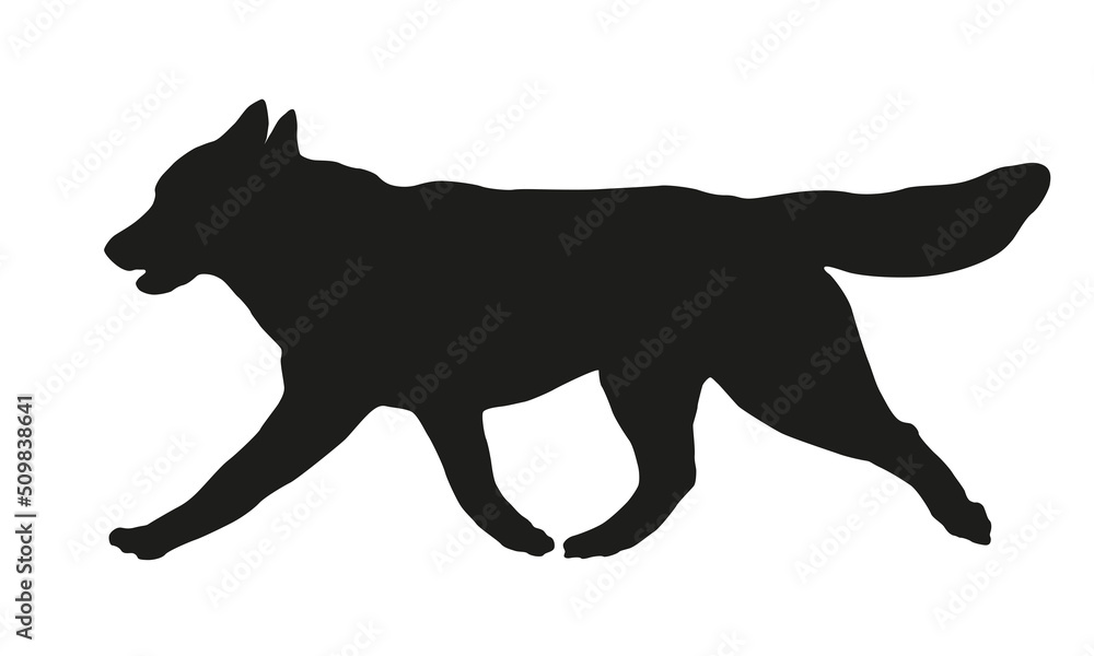 Black dog silhouette. Running siberian husky puppy. Pet animals. Isolated on a white background.