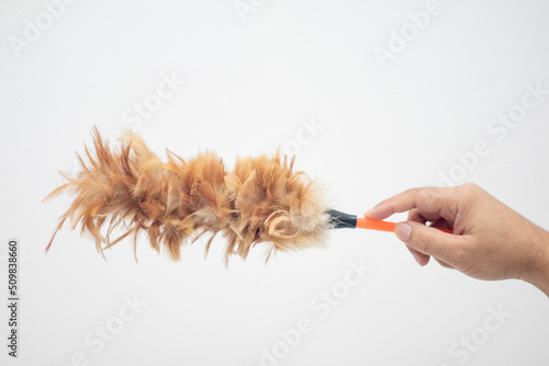 hand holding feather duster isolated on white background