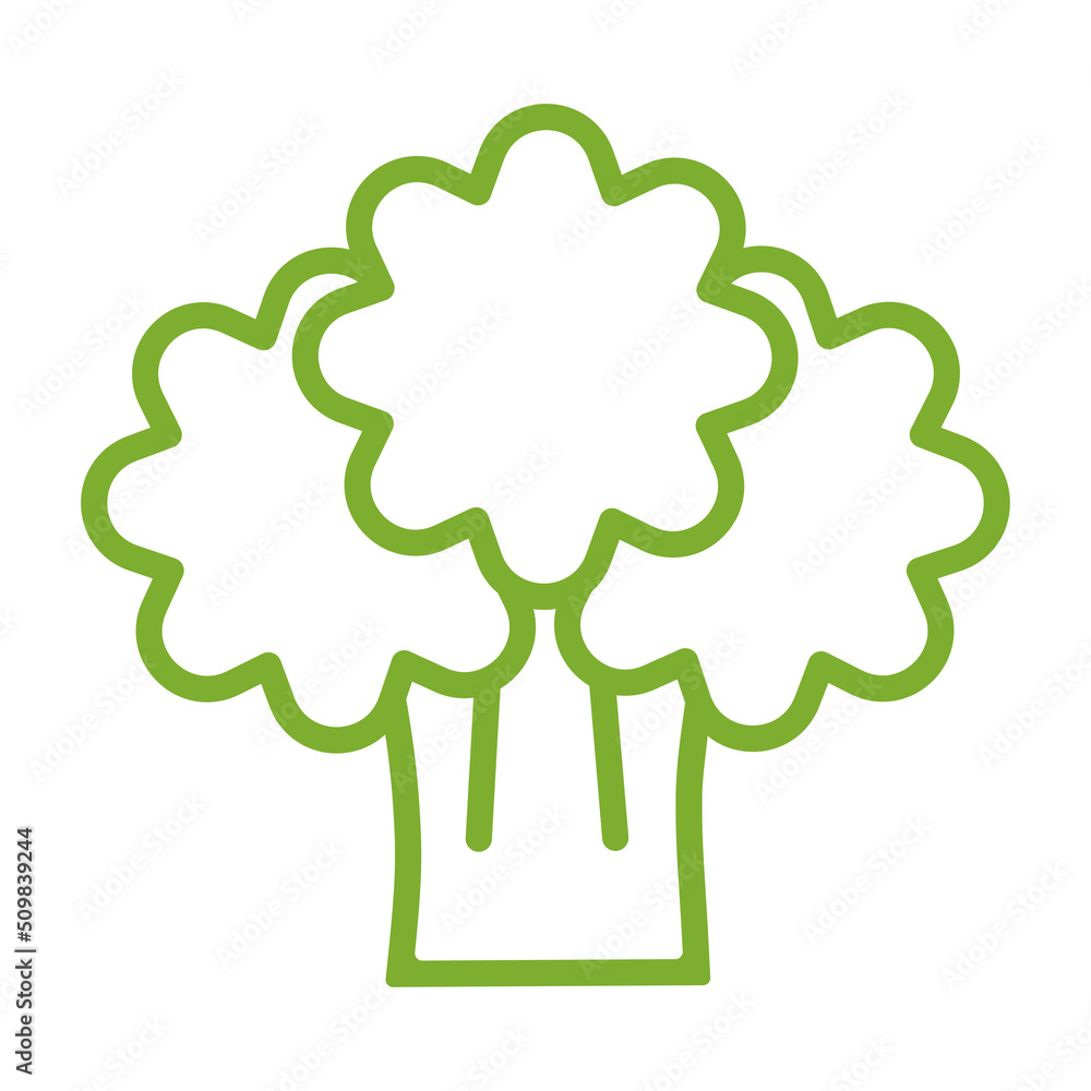 Broccoli line icon, vector. Broccoli outline sign Broccoli line icon, vector. Broccoli outline sign