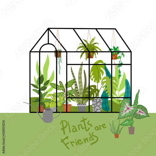 Houseplants vector illustrations. Urban jungls. Plants are friends.