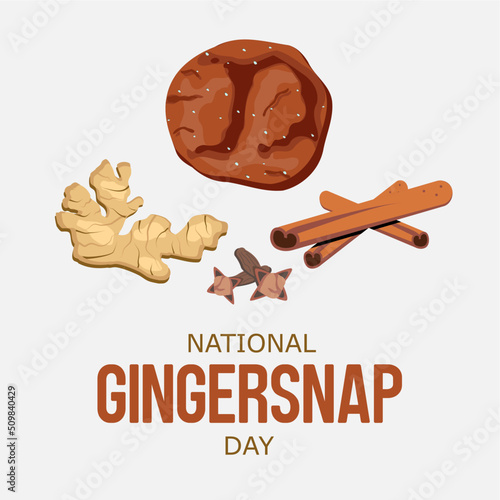 Ginger biscuit with cinnamon, clove, and ginger ingredient cartoon vector illustration. National gingersnap day celebration flat poster photo