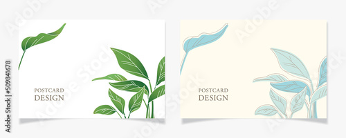 観葉植物をあしらったポストカードデザインB