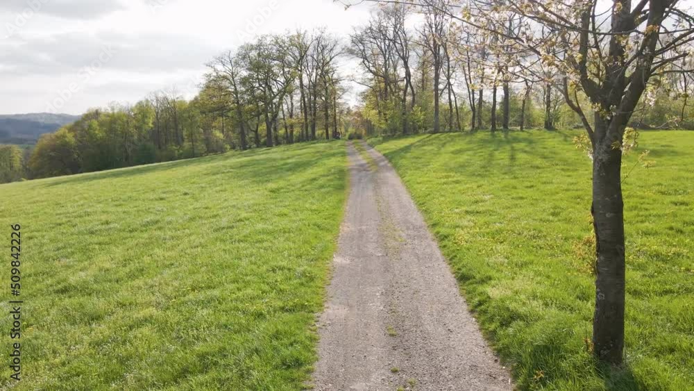 A gravel road between two lush meadows leading towards a deciduous forest that is barely blossoming at the beginning of spring. Wide angle approaching shot A gravel road between two lush meadows leading towards a deciduous forest that is barely blossoming at the beginning of spring. Wide angle approaching shot